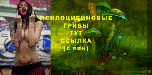 винт Баксан