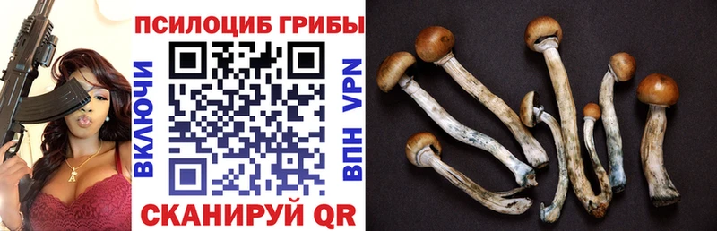 OMG   купить   Гатчина  Псилоцибиновые грибы мухоморы 