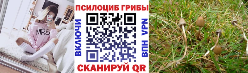 Галлюциногенные грибы мухоморы Гатчина